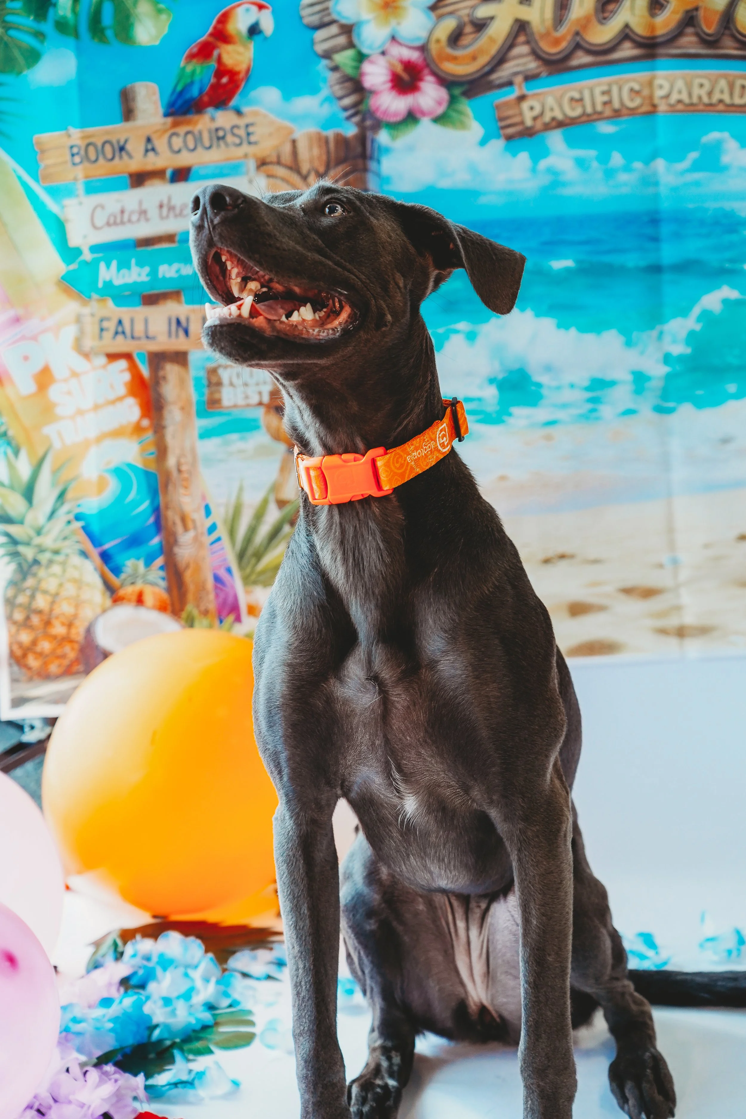 McPickles-4.jpg