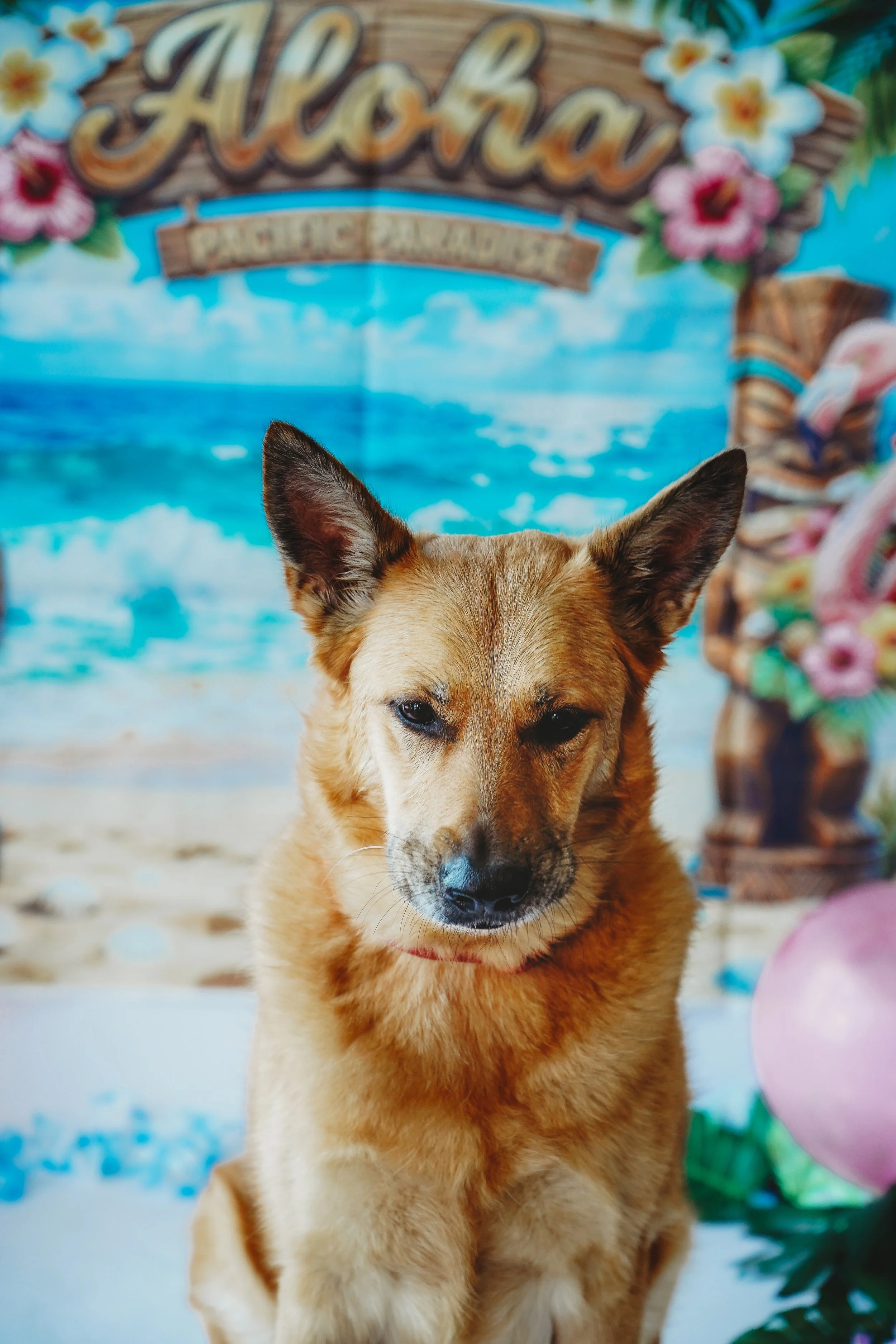 Heidi-10.jpg