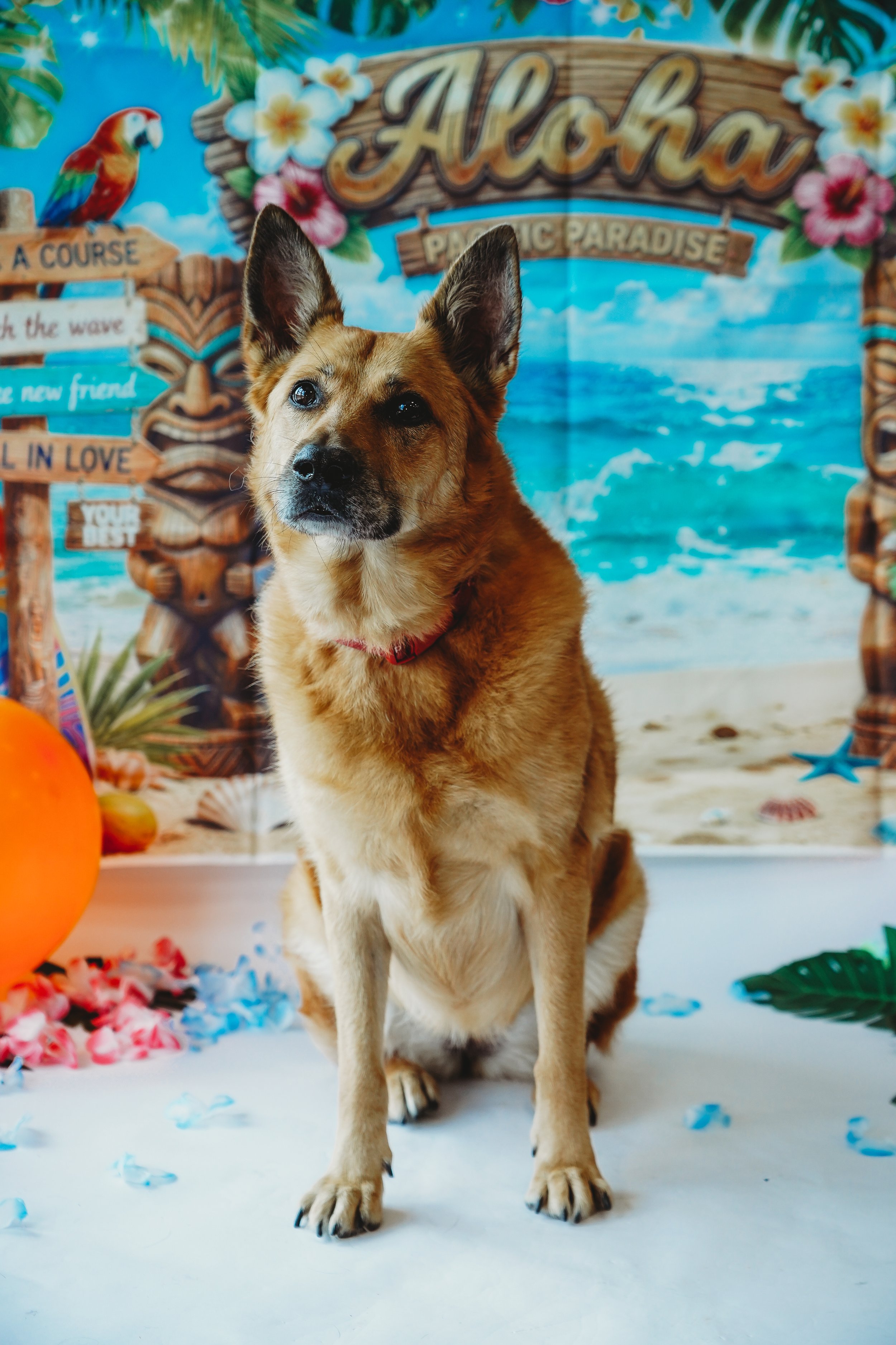 Heidi-11.jpg