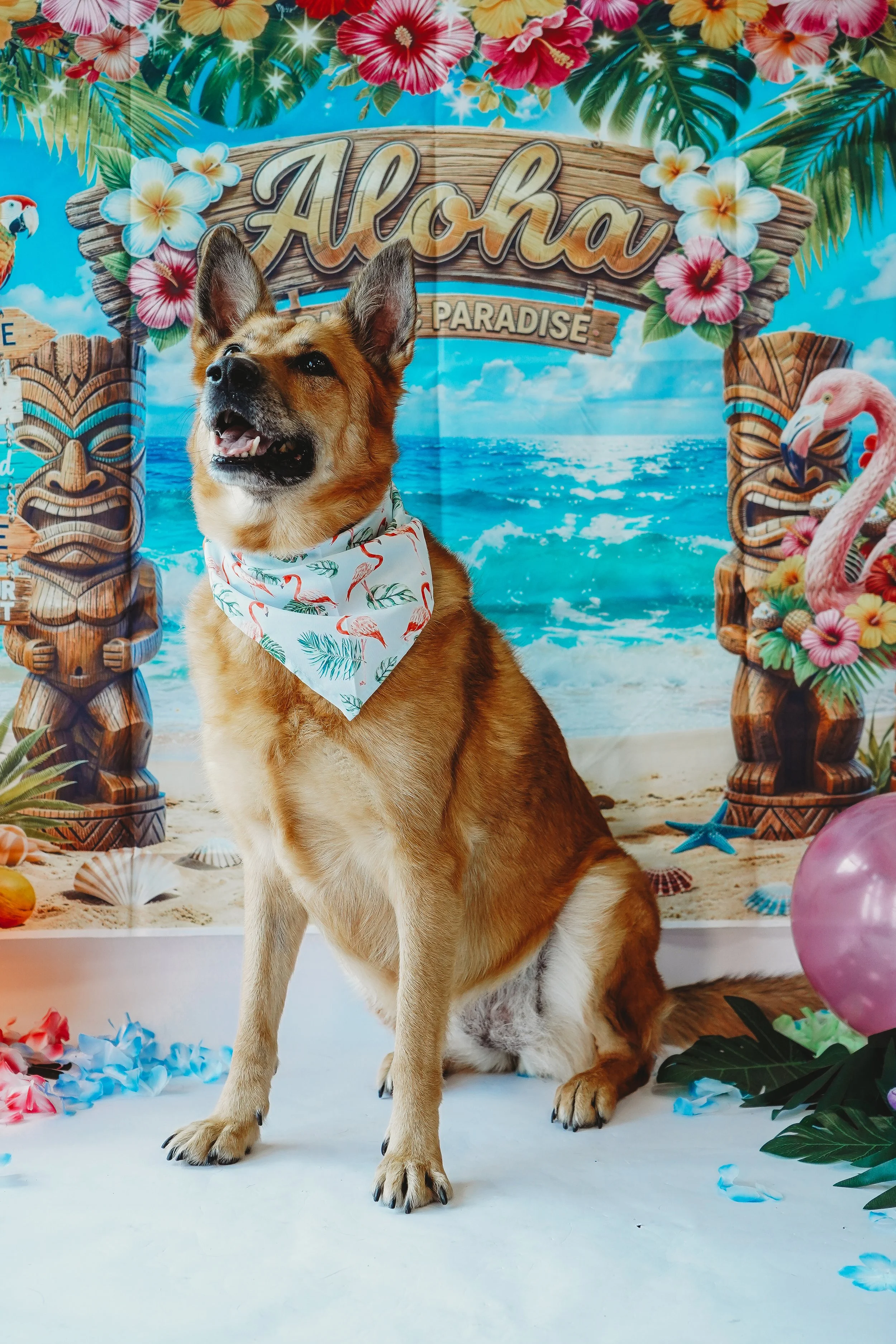 Heidi-12.jpg