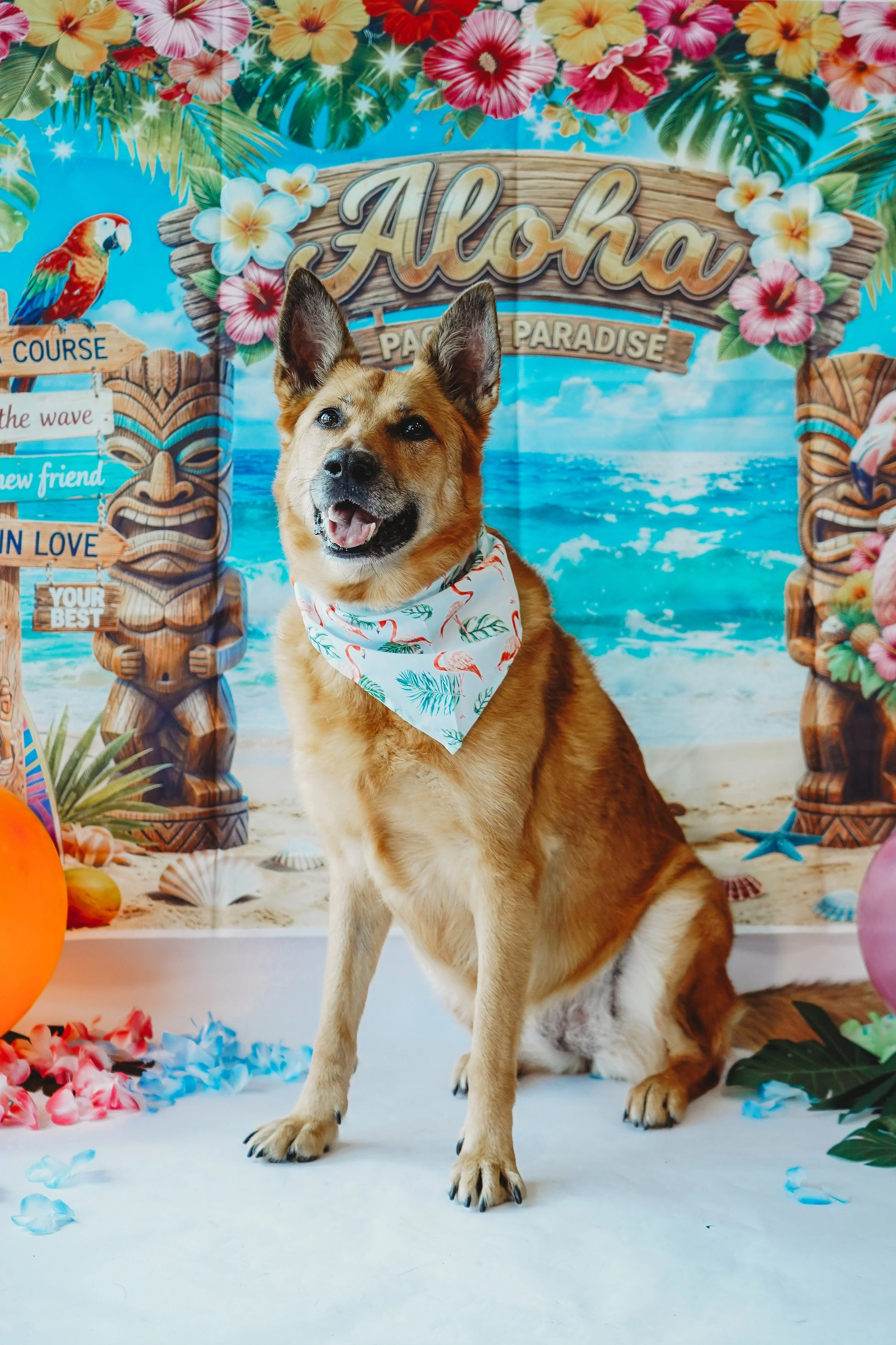 Heidi-13.jpg