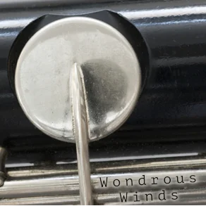 WondrousWinds.jpg