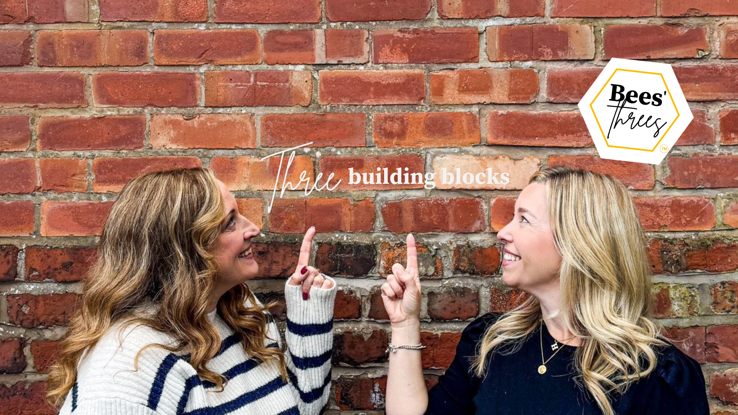 Building blocks option 2 (1).png