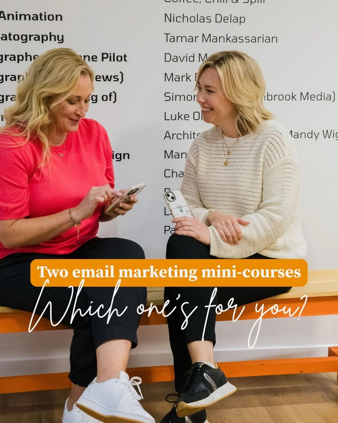 Not sure which email marketing course is right for you? Let&rsquo;s make it easy 👇

🌱 From Seed to Send
Perfect if you&rsquo;re just getting started.
We cover the basics from setting up Flodesk, growing your list, sending your first email and build