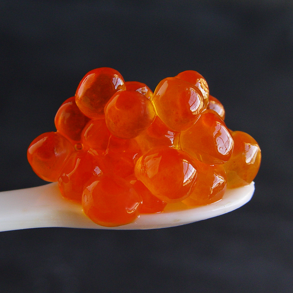SALMON ROE.jpg