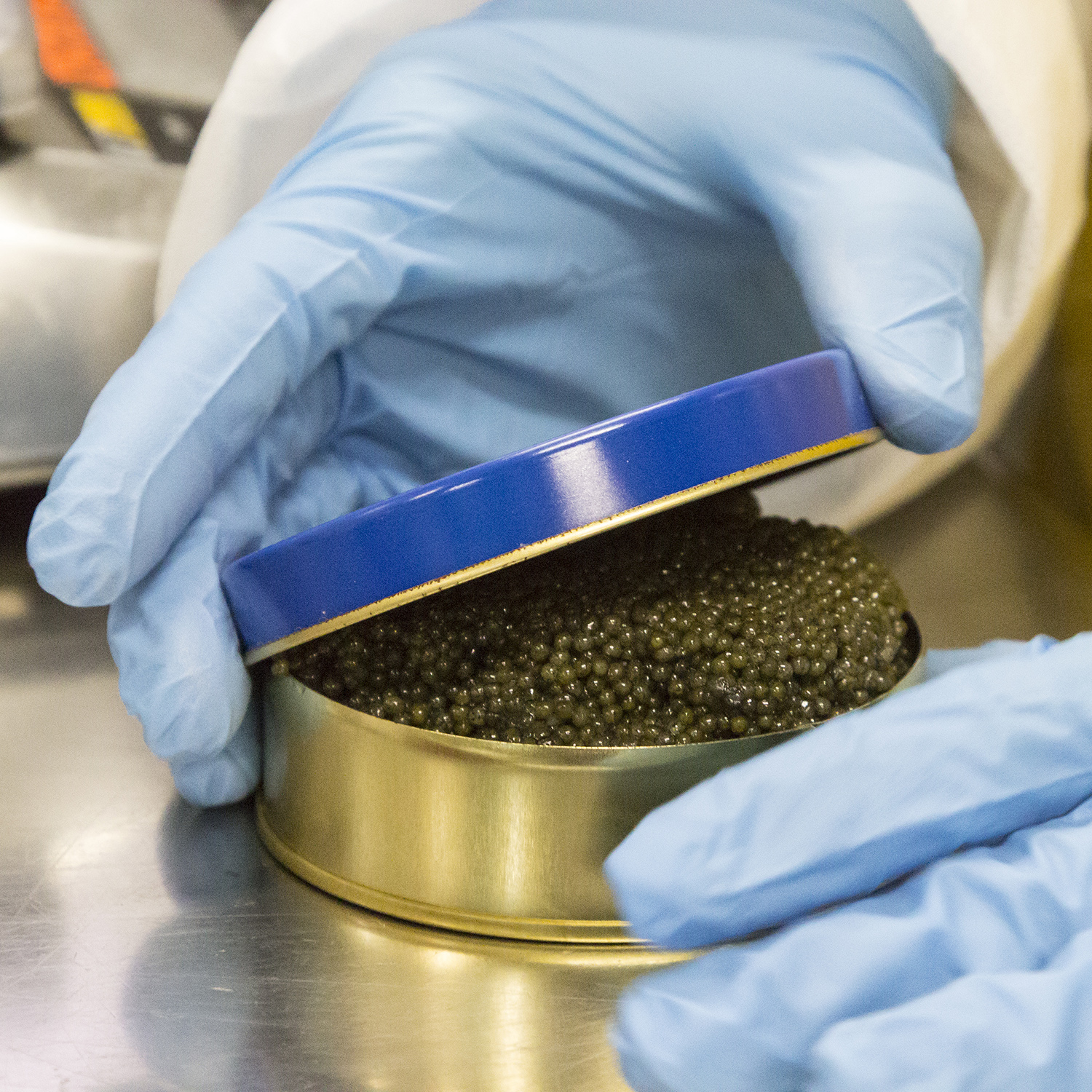 caviar-in-tin-gloved-hand.jpg