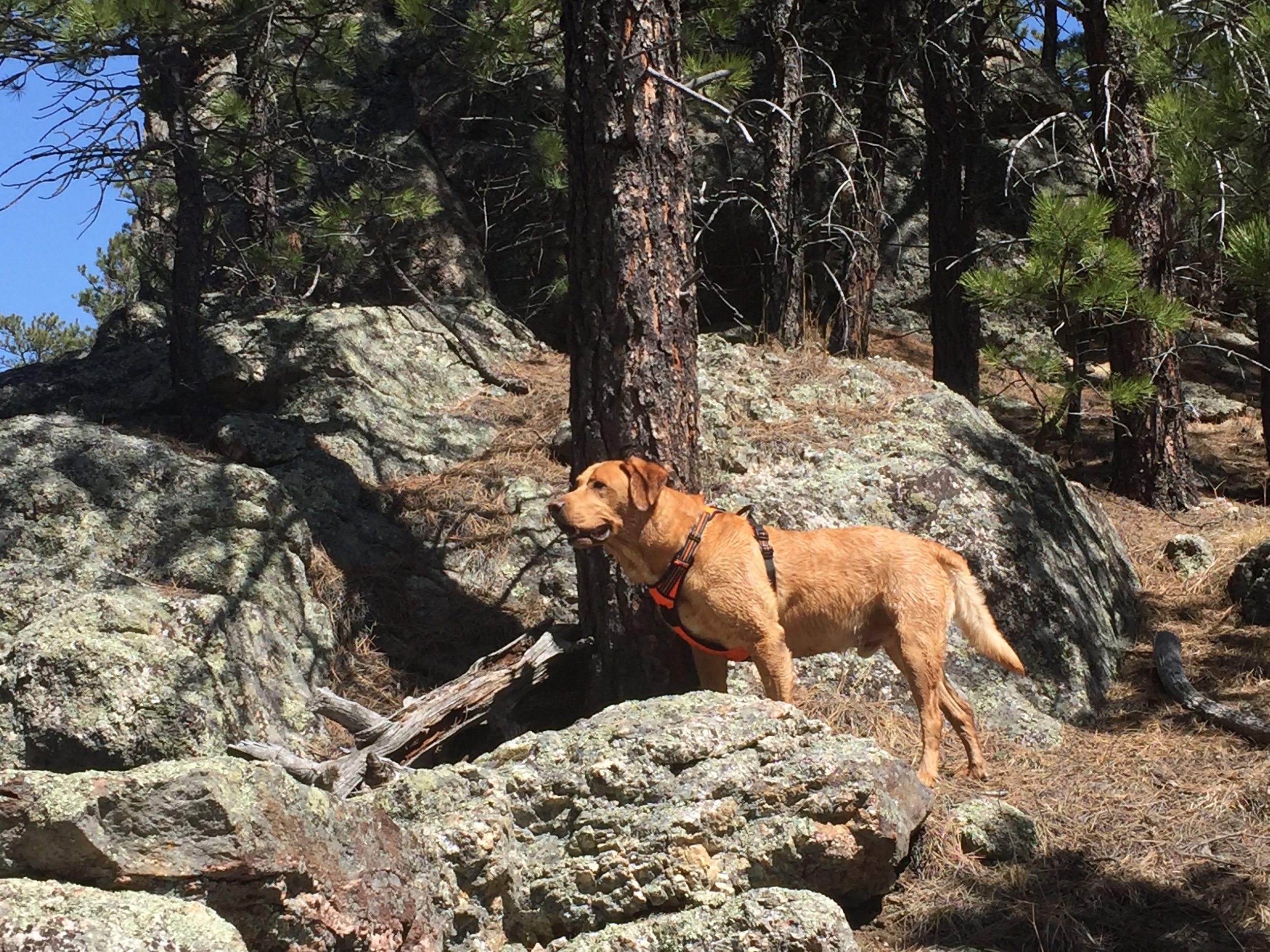 Finding Authenticity - September 27, 2018