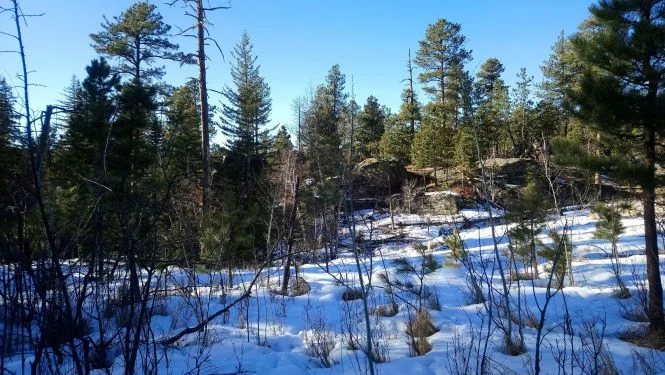 Authentic Practices - January 24, 2019