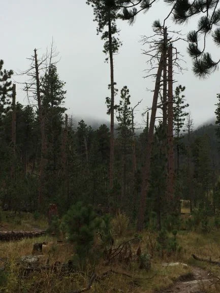 Reconnected and Grounded - November 7, 2014