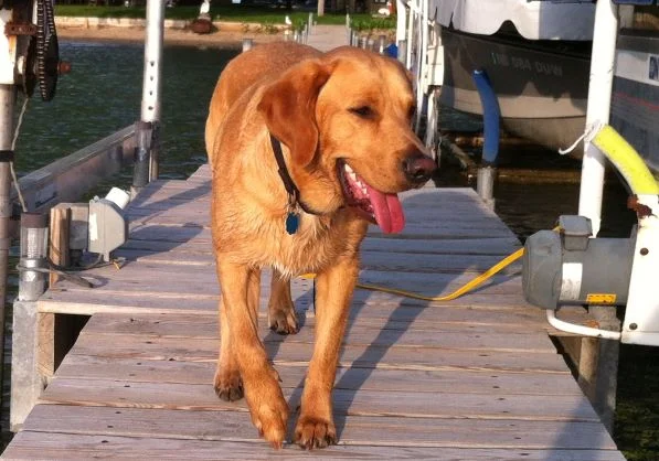 Experimentation - December 4, 2014