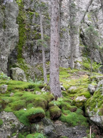 Magic of the Moment - September 6, 2014