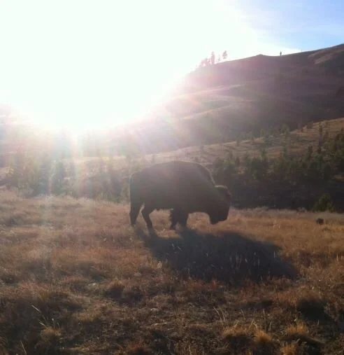 Nourishment - A Different Perspective - January 31, 2020