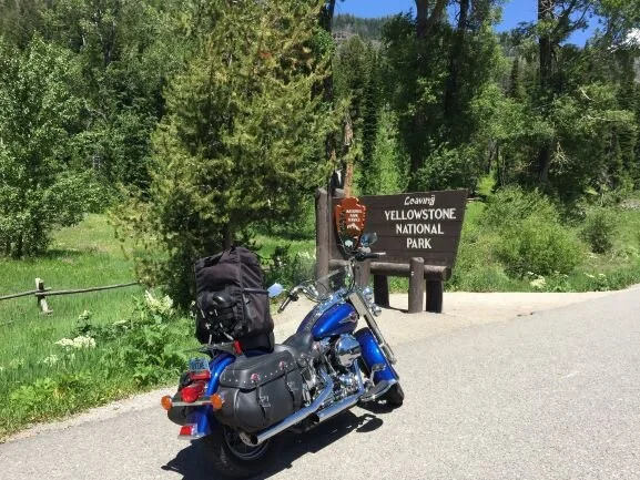 Nourishment - A different Perspective (11) .25 mp.JPG