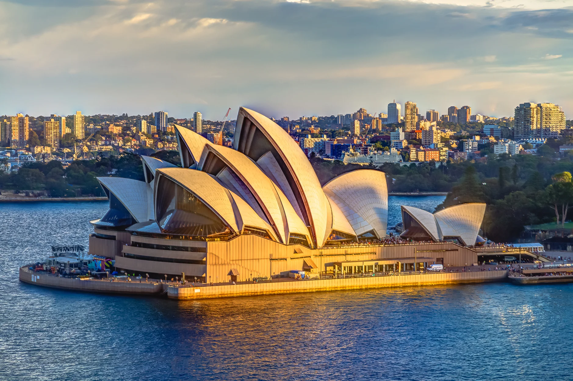 Spider Arrested | Slough Glamour | Extra Hour?