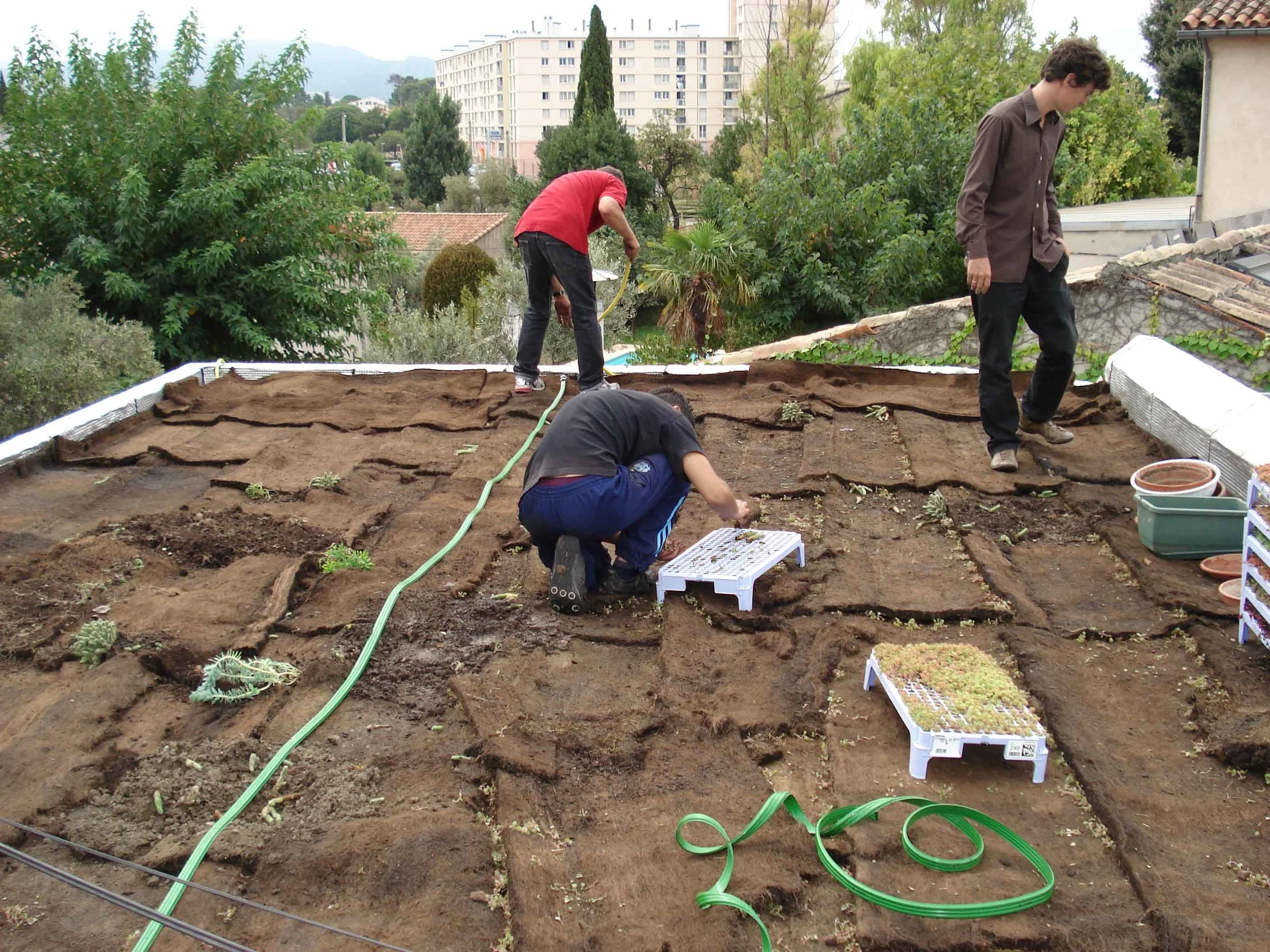 Couverture toiture végétale 01.JPG