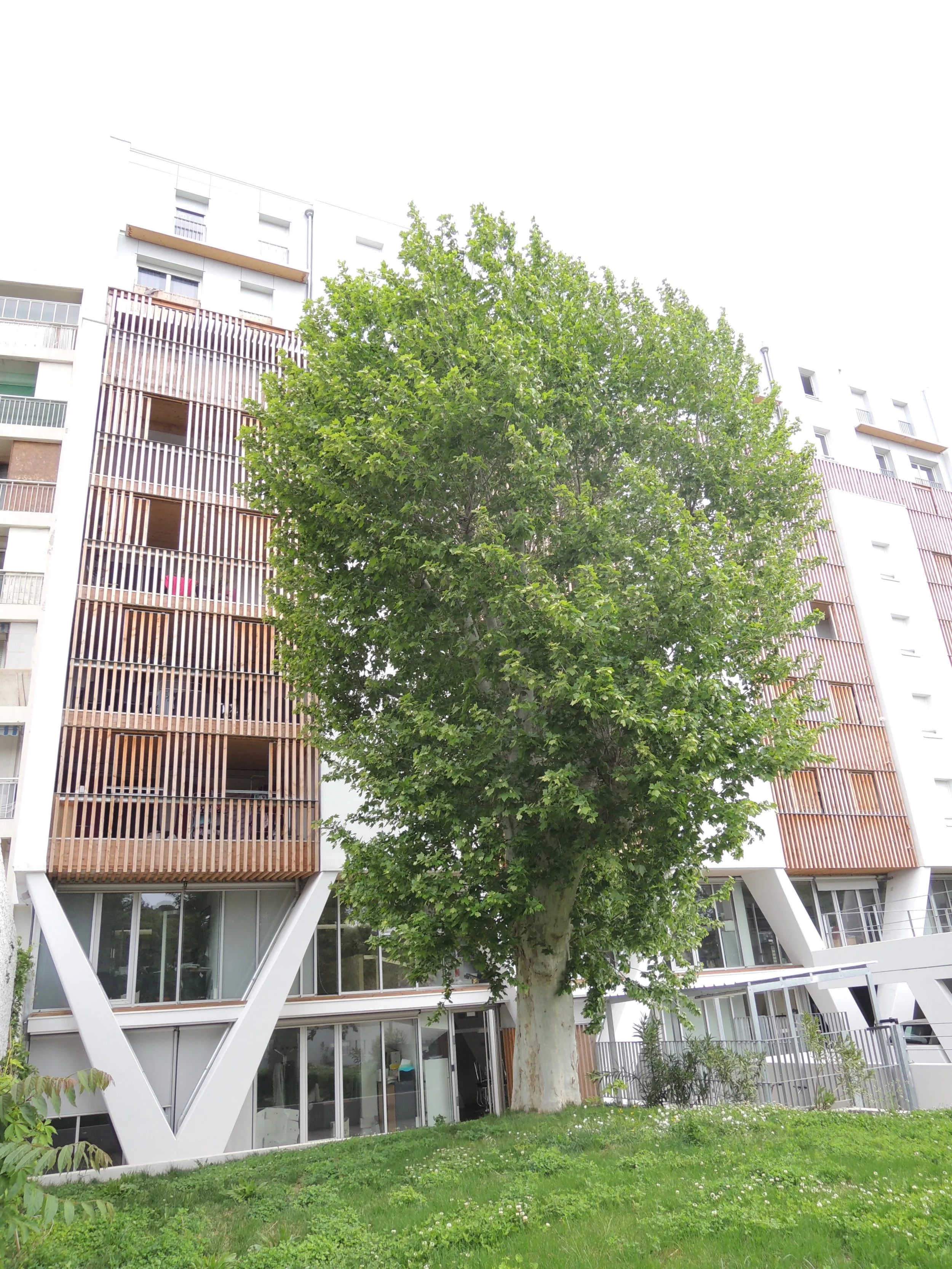 EDEN LOGEMENTS SOCIAUX H&E.jpg