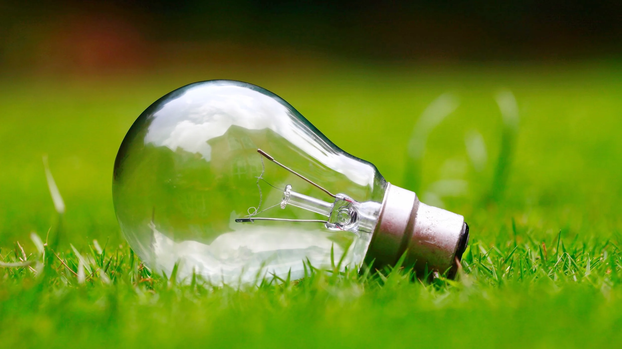 light bulb2.jpg