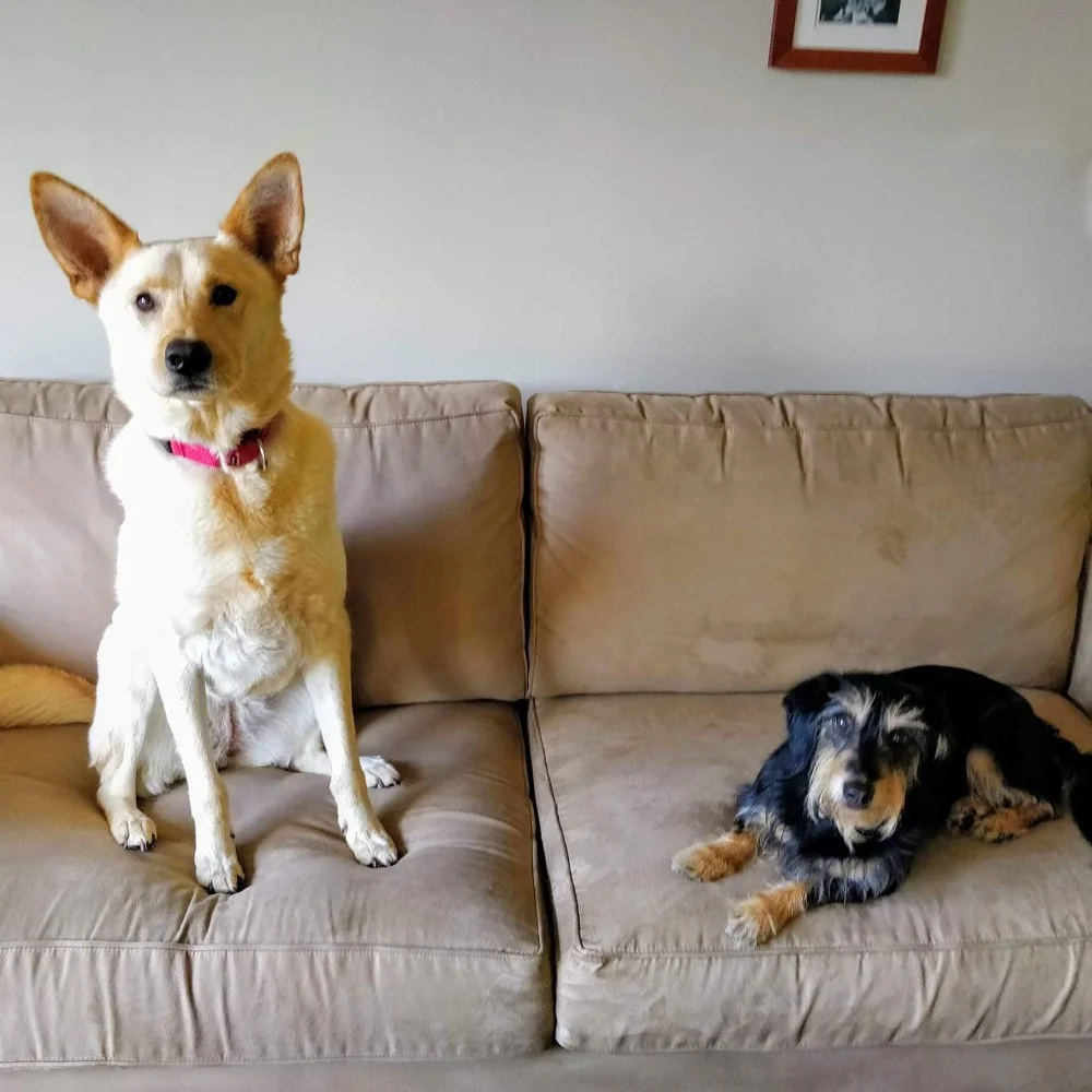 Clear The Shelter, Fill Your Mind