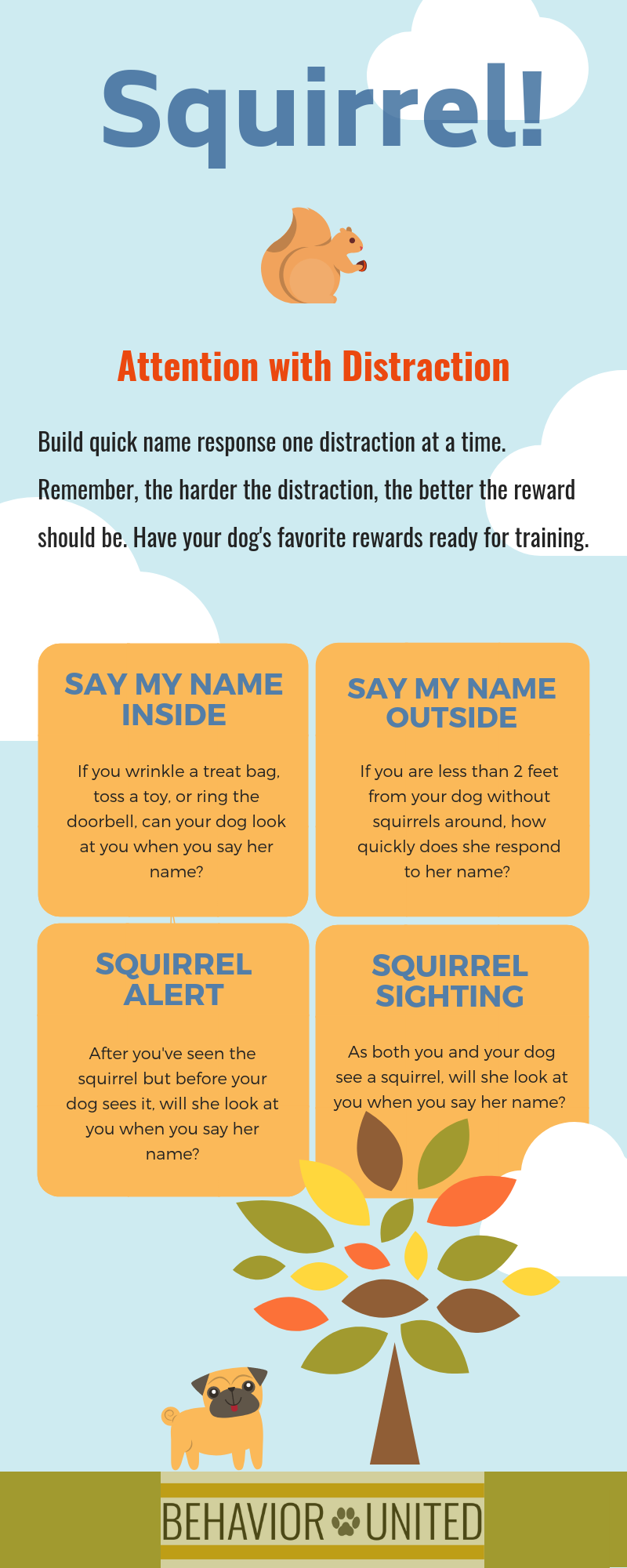 Distract Dog Is Your Dog Distracted? — Behavior United Dog Behavior and Training
