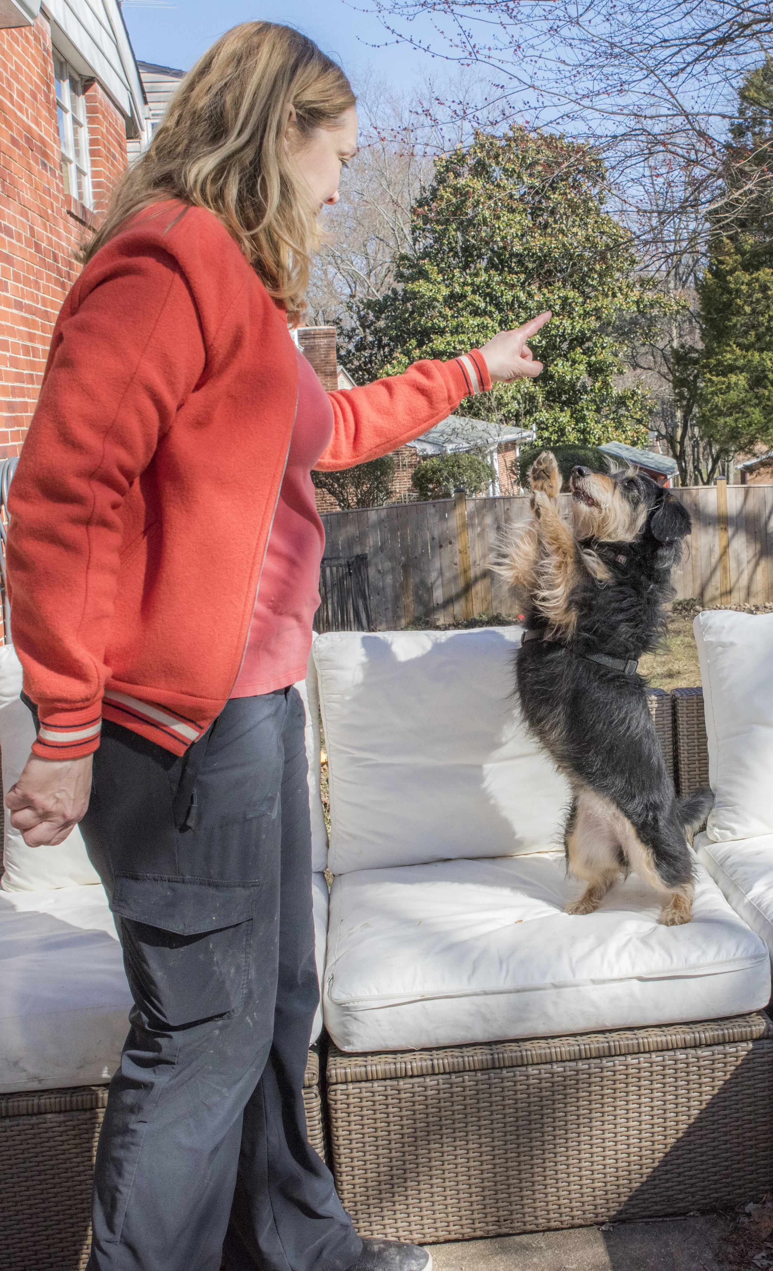 Train Your Dog Like You Stole It
