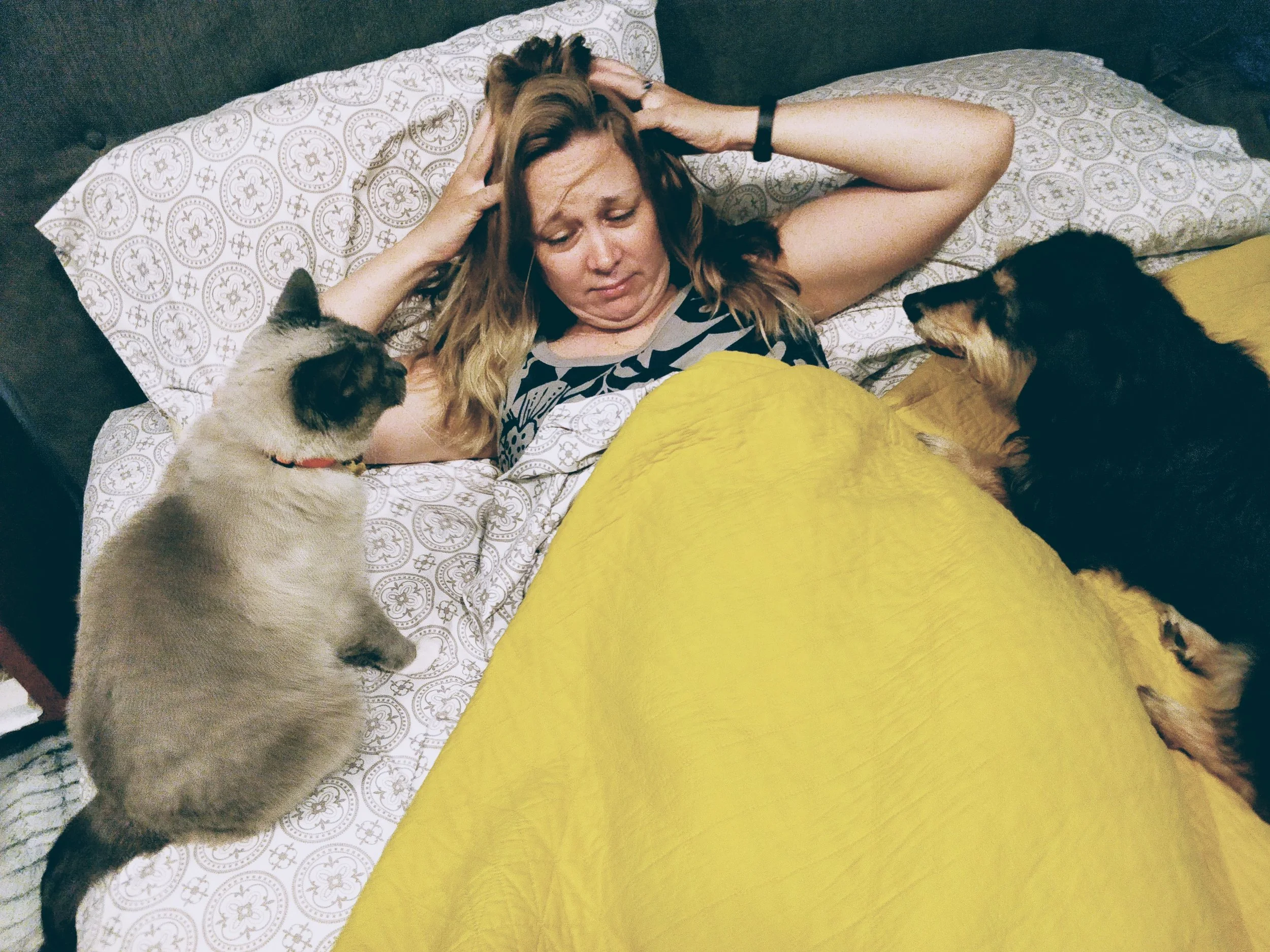 Train Your Pets for Your Good Morning