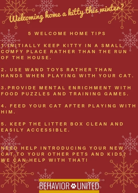 1. Take your dog directly home - newly adopted dogs are a flight risk.2. Take your dog to a potty spot and wait for him to potty before going into your home.3. Do not bathe your dog for the first few days - bat (1).jpg