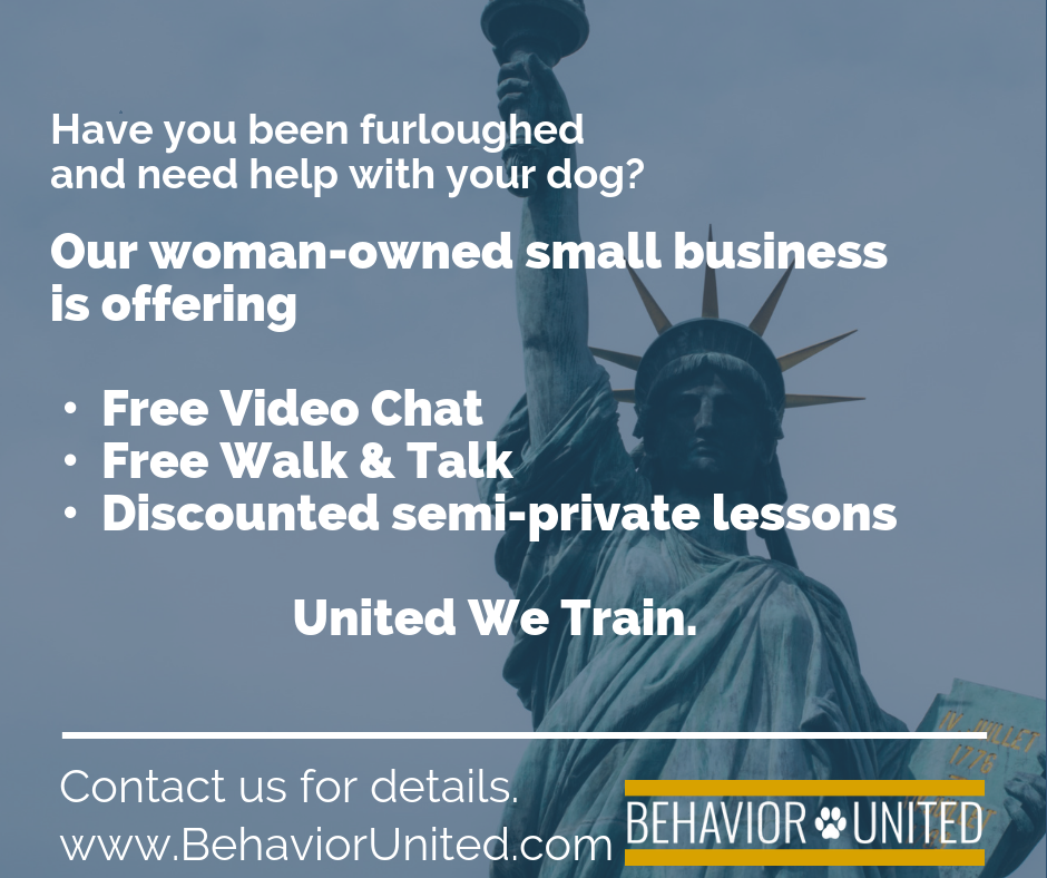 Our woman-owned small business is offering • Free Video Chat • Free Walk & Talk • Discounted semi-private lessons United We Train..png