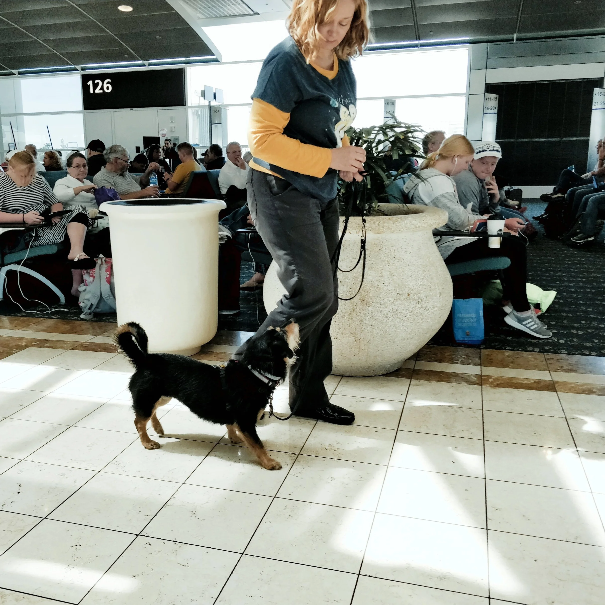 Aero walking through the airport