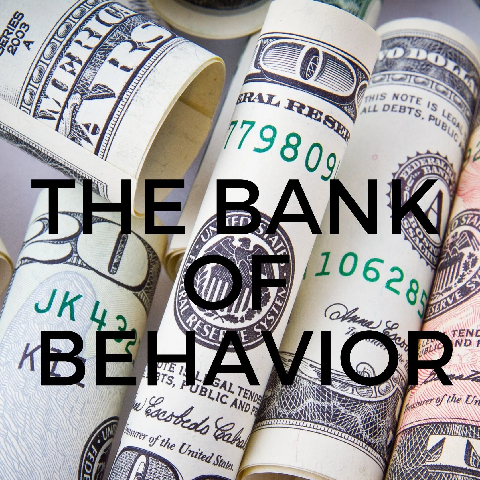 The Bank of Behavior