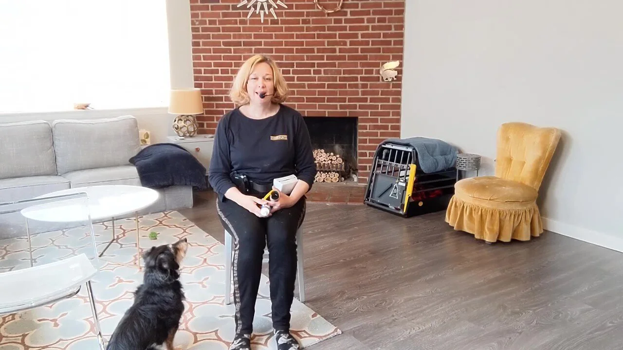 Scent Detection Fun Video