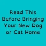 Welcome Home Plans for Dogs and Cats