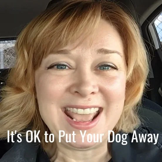 It's OK to Put Your Dog Away