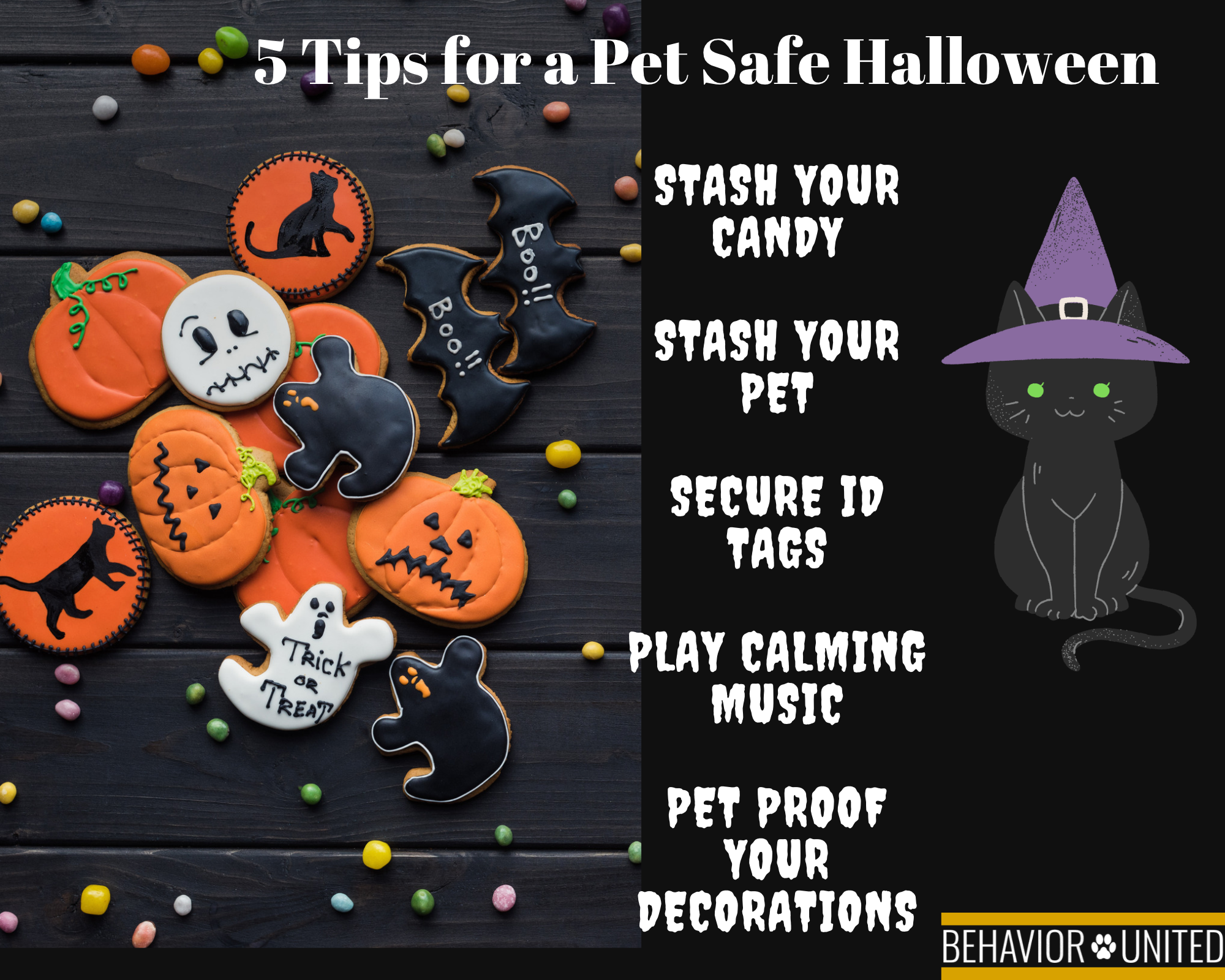 5 Pet Safe Tips for Halloween including stash your candy, stash your pet, secure ID tags, play calming music, and pet proof your decorations.