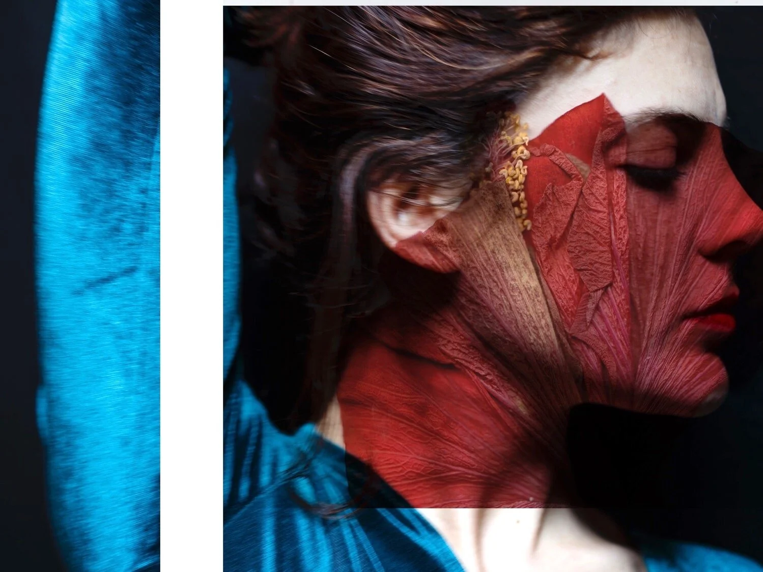 ‘It Feels Like Another Loss’: What It’s Like to Pause Fertility Treatments Because of Coronavirus | SELF