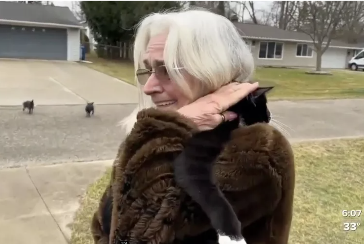How One Woman Returned a Lost Cat to Her Owner — From 600 Miles Away | PEOPLE