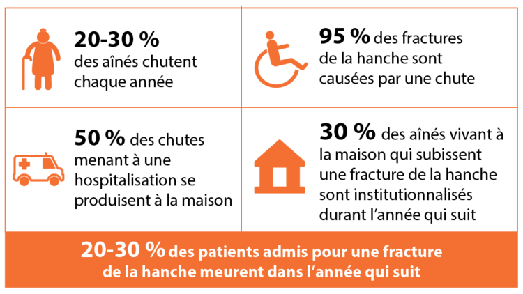 falls_correcte_FR@2x.png