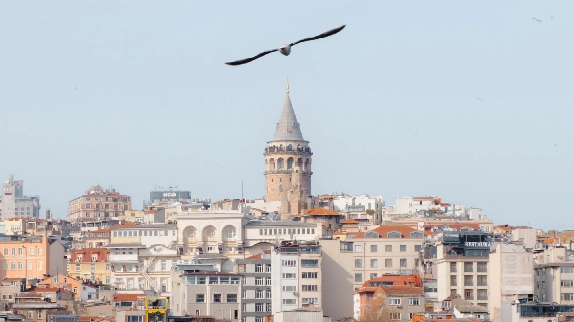 A Guide To Street Photography In Istanbul (Turkey Travel 2022)