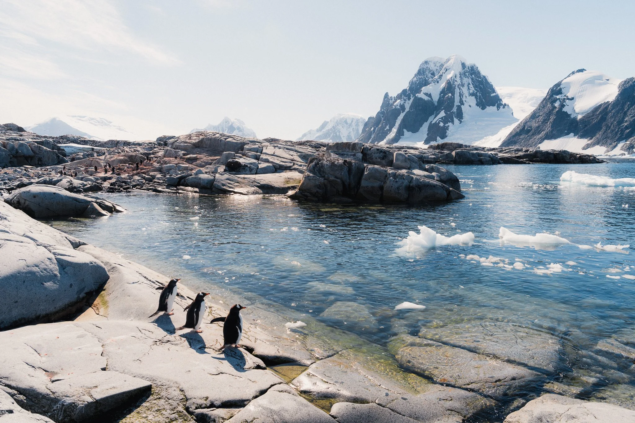 Photography In Antarctica - My Experience