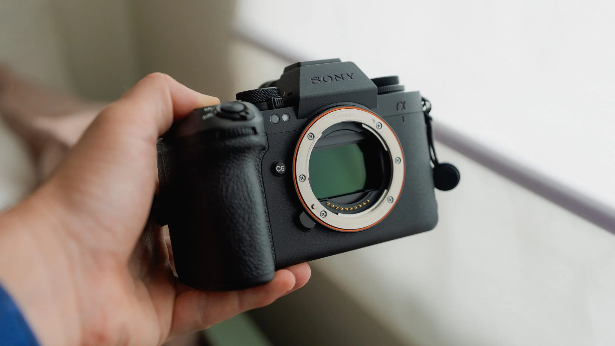 Sony A1II - First Impressions After 2 Months