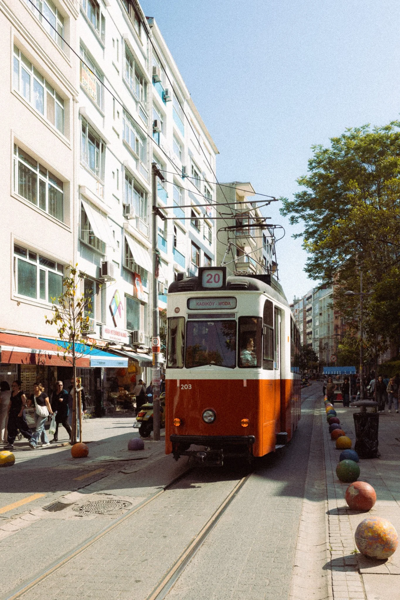 _R001737-8.jpg