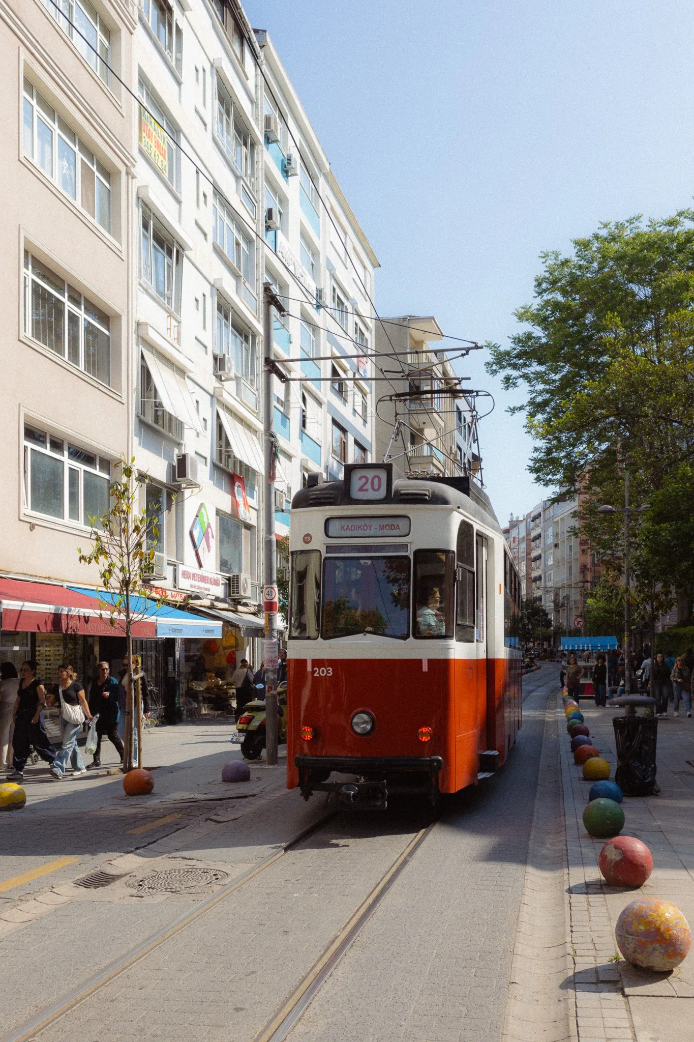_R001737-6.jpg