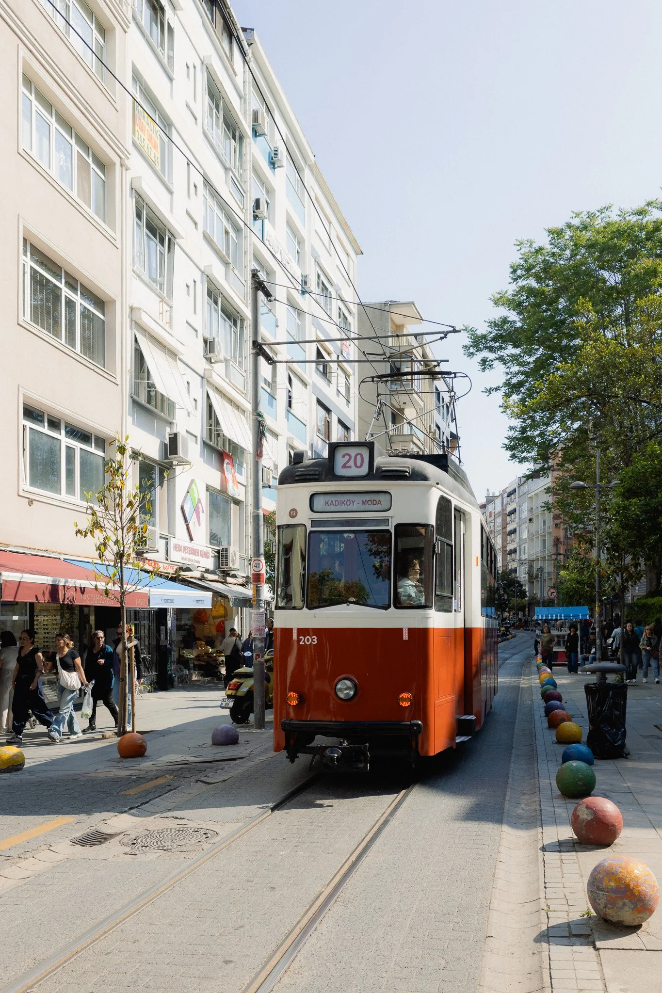 _R001737-2.jpg