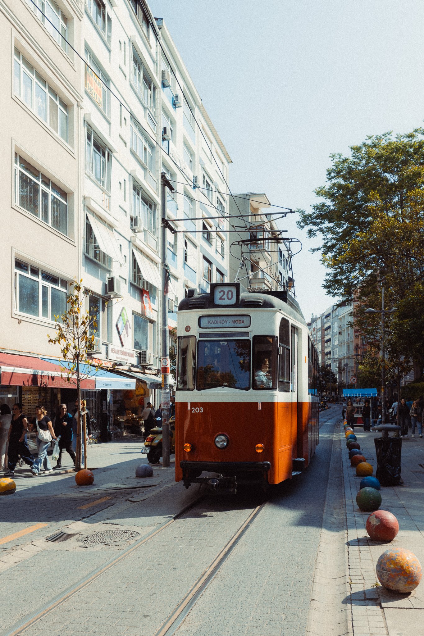 _R001737-4.jpg