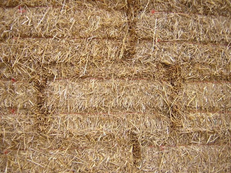 bale_courses1-768x576.jpg