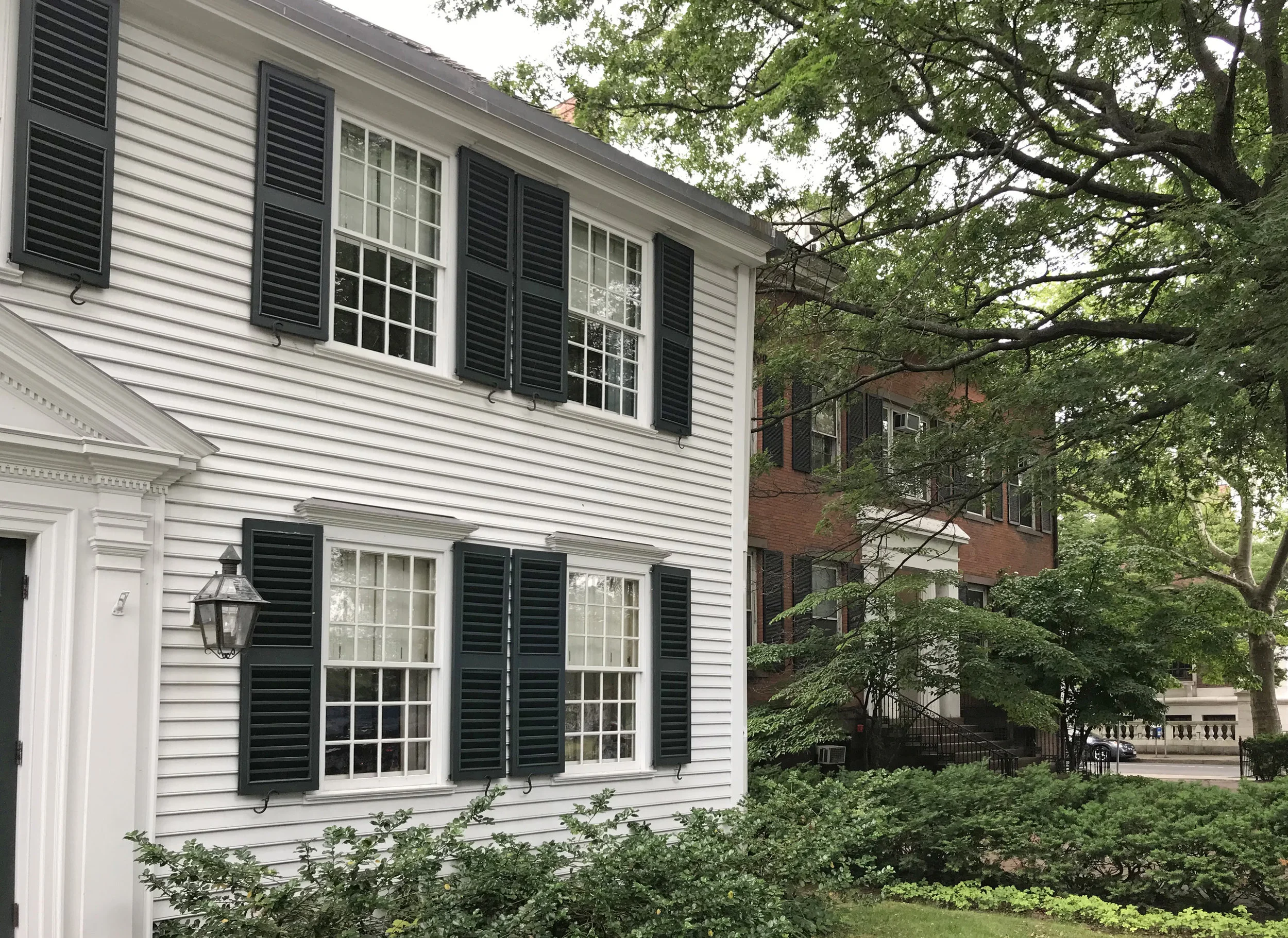 Elm Street, New Haven Tour