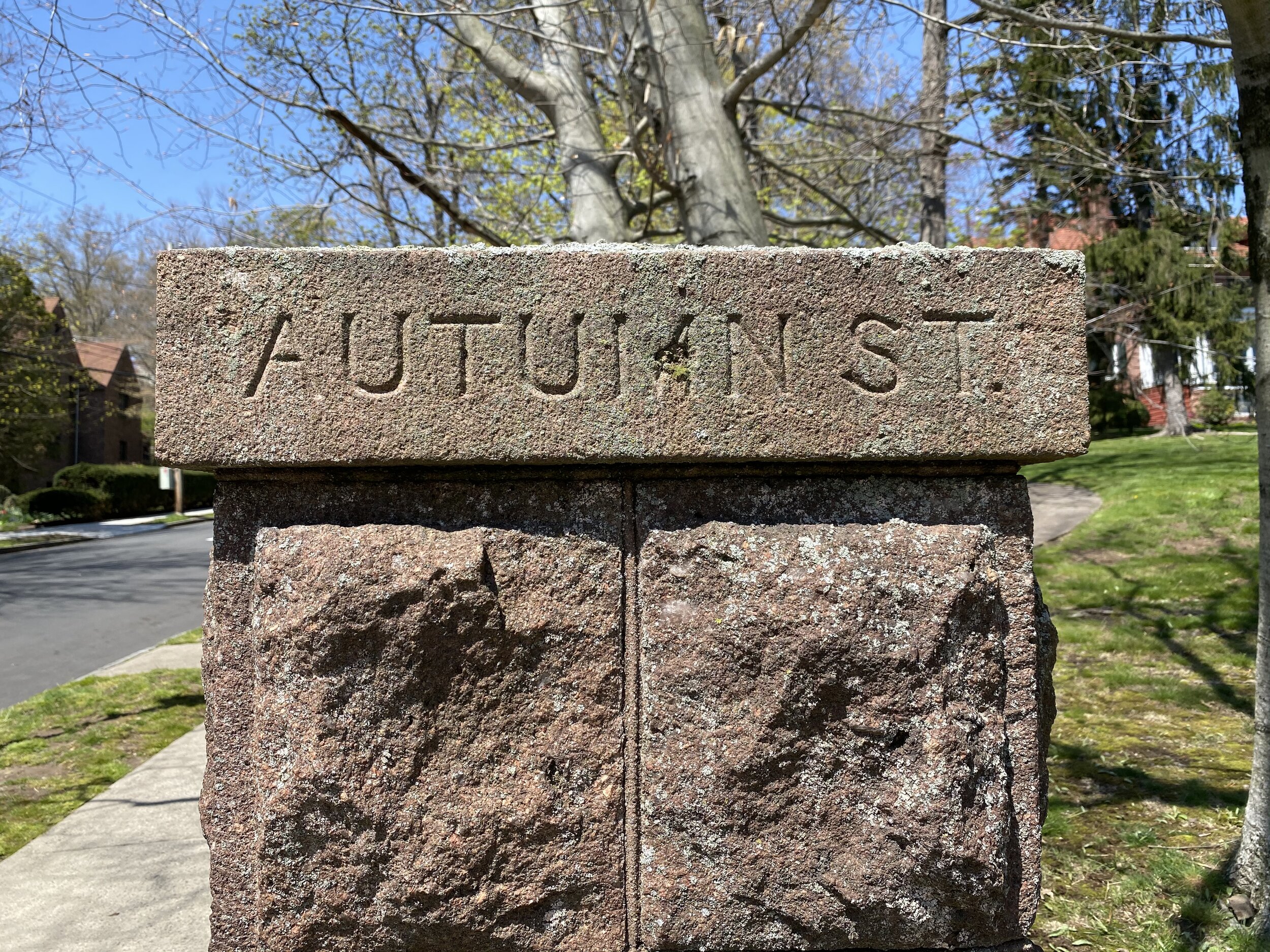 A Virtual Jane's Walk Tour of Autumn Street — The New Haven Preservation  Trust