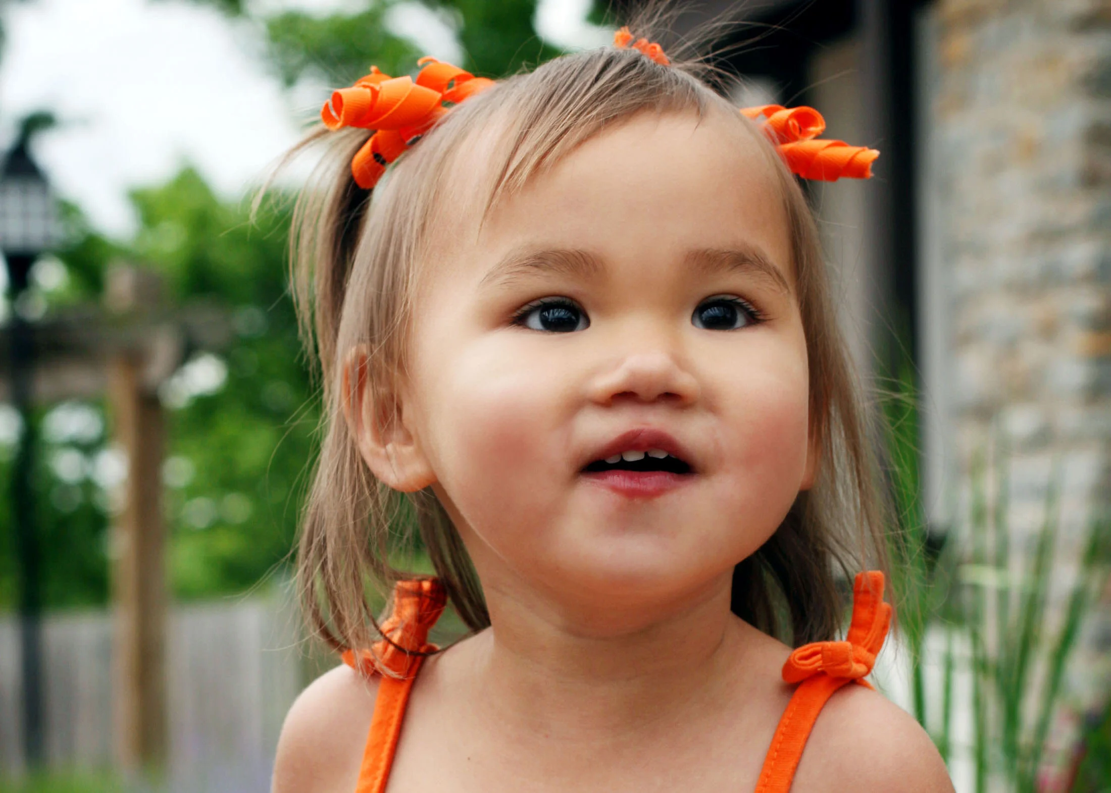 IMG_3272_crop.jpg