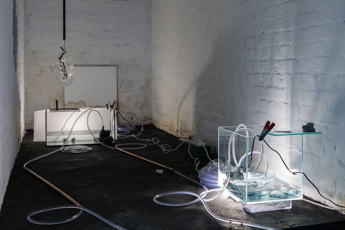 White Crypt Hannah Rowan Installation View Low Res-23.jpg