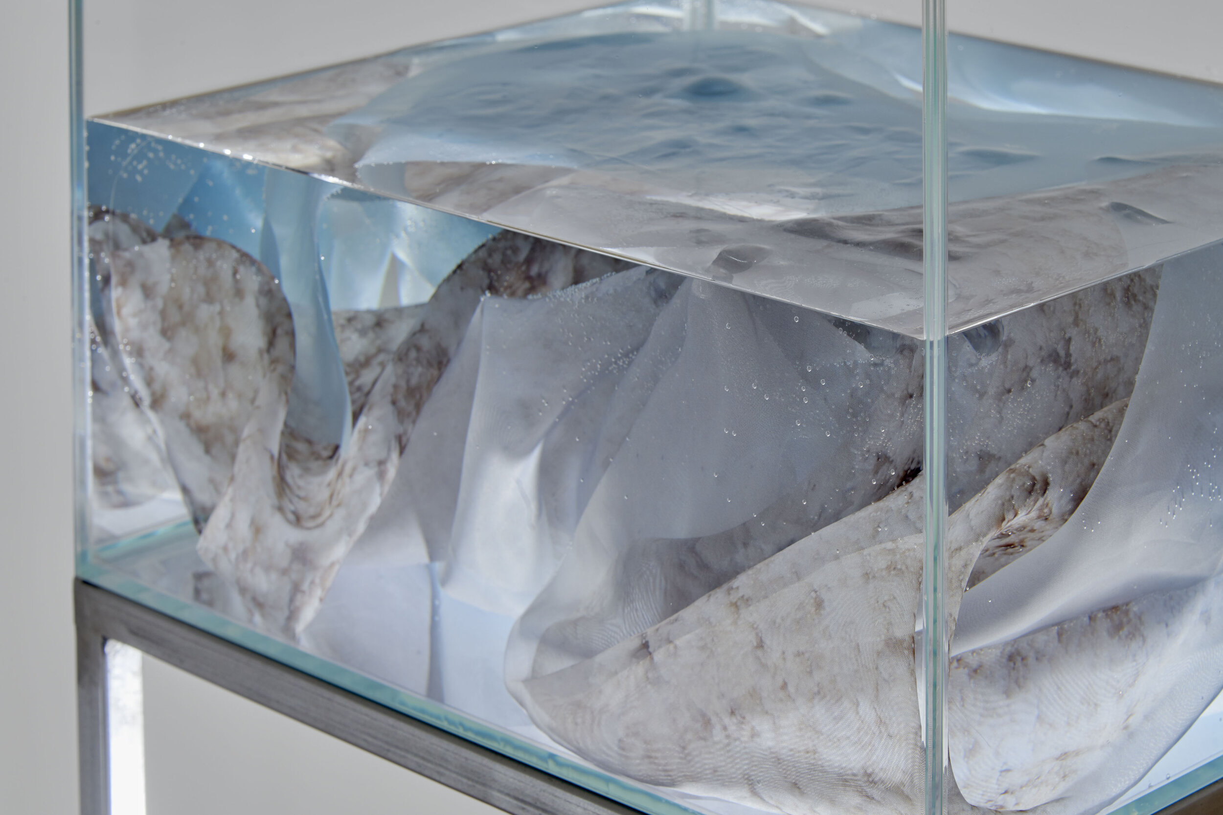 aqueous detail small.jpg