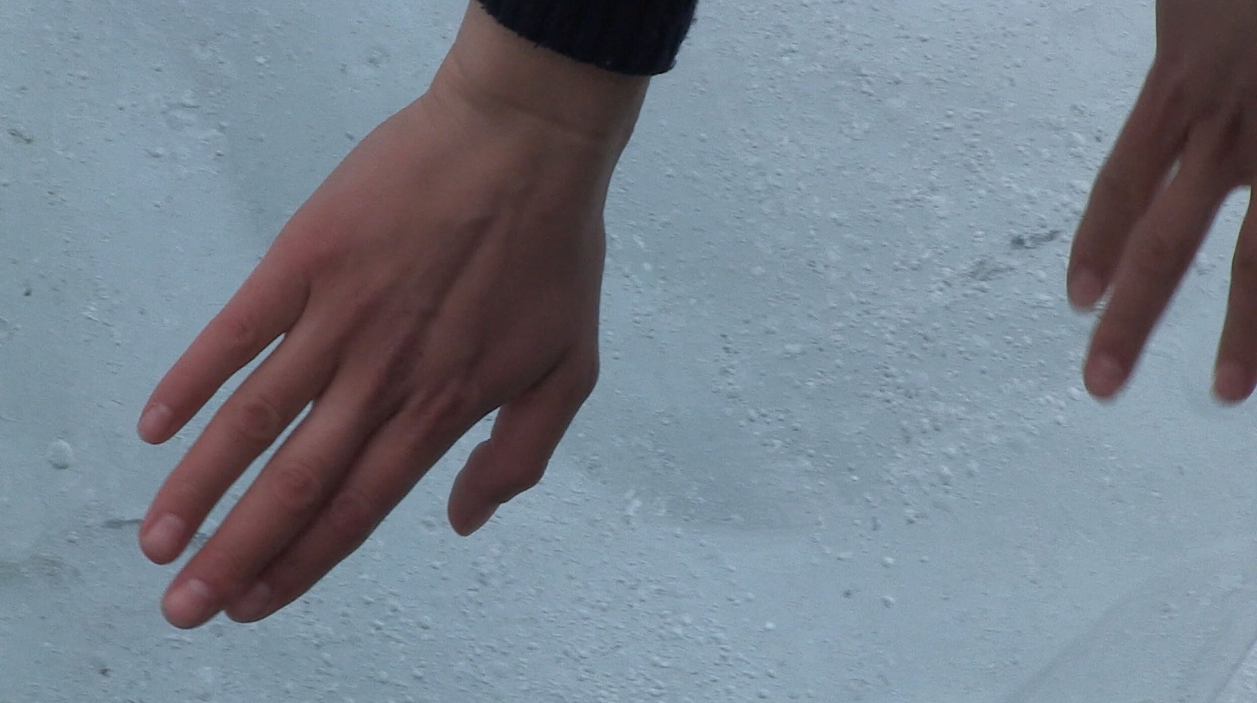 Anatomy of Ice detail hands.jpg